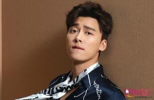 爆料视频李易峰最新,爆料视频揭示神秘事件 第3张 爆料视频李易峰最新,爆料视频揭示神秘事件 第3张