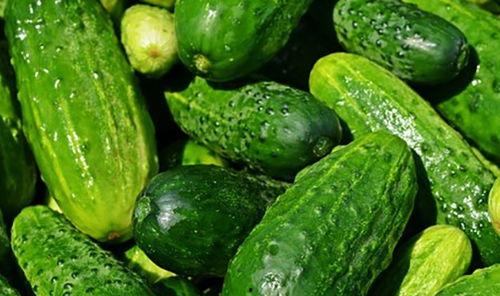 黄瓜农药爆料方法视频大全,教你轻松识别农药残留